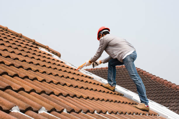 Best Roof Leak Repair  in Wolfhurst, OH